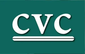 In a significant move within the financial sector, KKR, a renowned global investment firm, is set to acquire NewDay's consumer credit portfolio from Cinven and CVC.